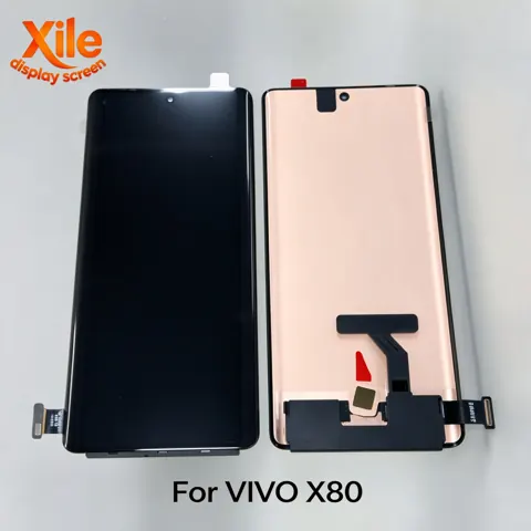 OLED Vivo X80 Xile